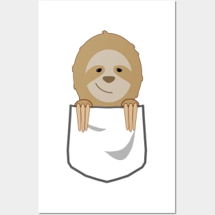 Pocket Sloth Posters and Art